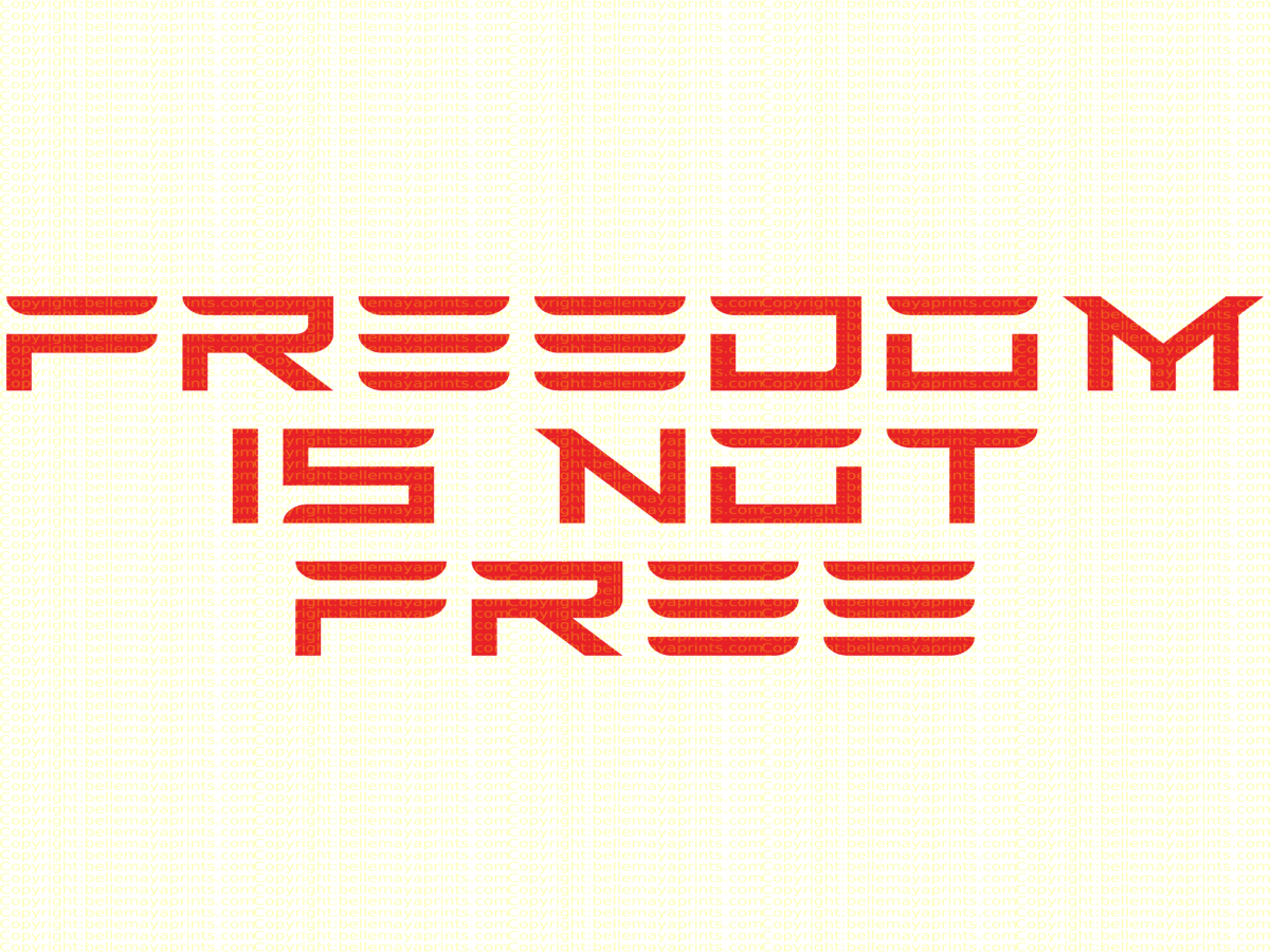 Freedom is Not Free - Image 2